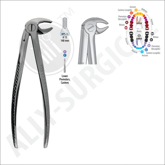 CANINE AND LOWER PREMOLAR EXTRACTION FORCEPS
