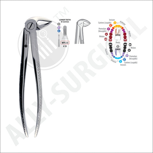 LOWER ROOT EXTRACTION FORCEPS