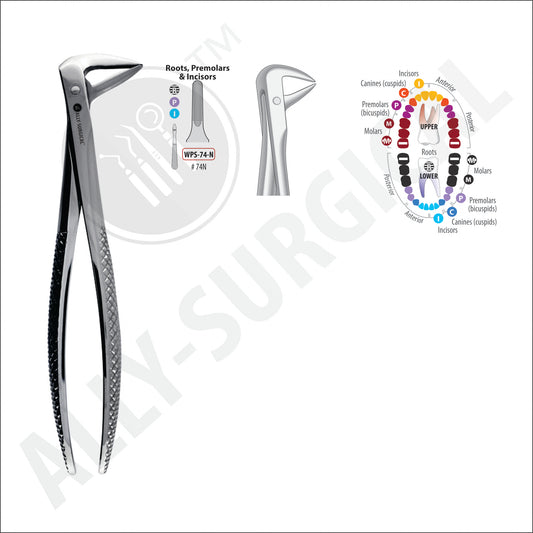 LOWER ROOT, PREMOLAR AND INCISOR EXTRACTION FORCEPS, #74N