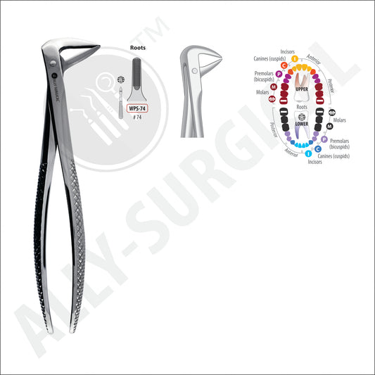 LOWER ROOT EXTRACTION FORCEPS, #74