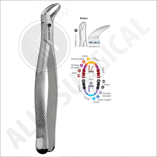 LOWER MOLAR EXTRACTION FORCEPS ON BOTH SIDES #23