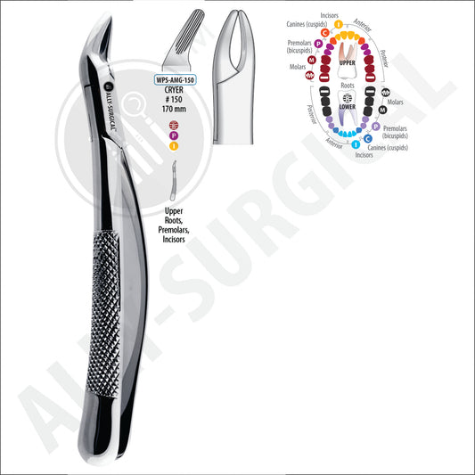 INCISOR AND LOWER CANINE EXTRACTION FORCEPS
