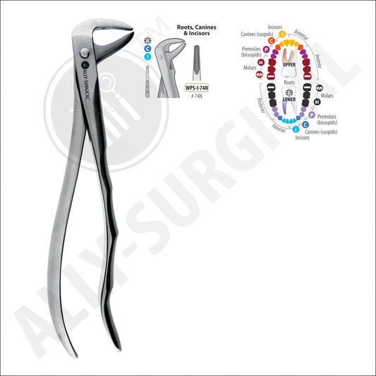 FORCEPS FOR EXTRACTING ROOTS OF LOWER TEETH, CANINES AND INCISORS #74N