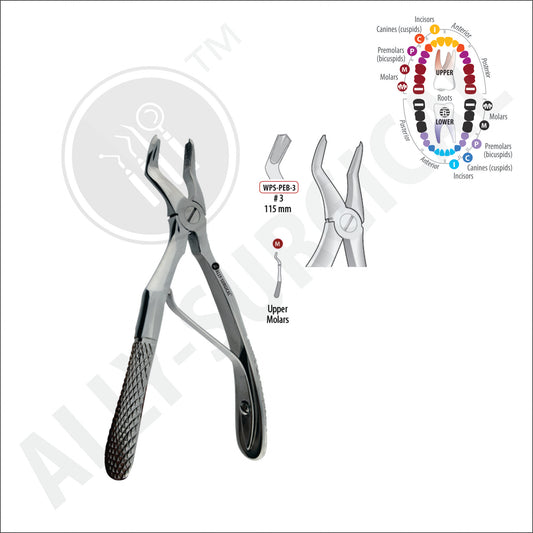 UPPER MOLAR PAED EXTRACTION FORCEPS