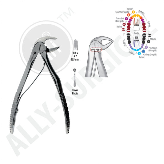 LOWER ROOT PAED EXTRACTION FORCEPS