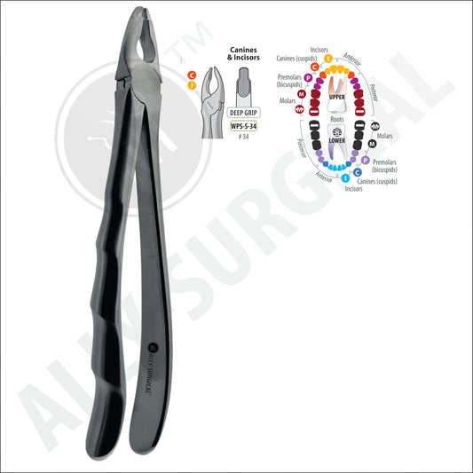 UPPER LATERAL AND CANINE EXTRACTION FORCEPS #34