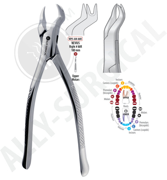 UPPER RIGHT MOLAR NEVLUS EXTRACTION FORCEPS #88R